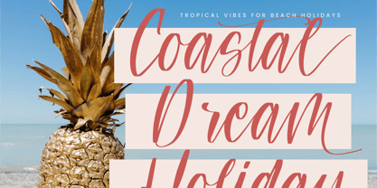 Teracota Strokes Font Poster 13