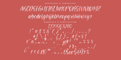 Teracota Strokes Font Poster 4