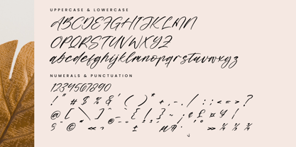 Midnight Horizon Font Poster 8