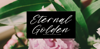 Midnight Horizon Font Poster 15