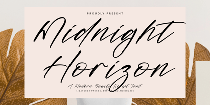 Midnight Horizon Font Poster 1