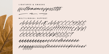 Midnight Horizon Font Poster 4