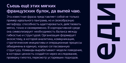 Blumir Font Poster 5