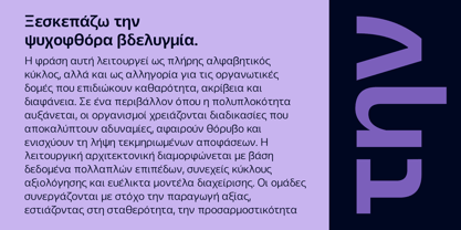 Blumir Font Poster 4