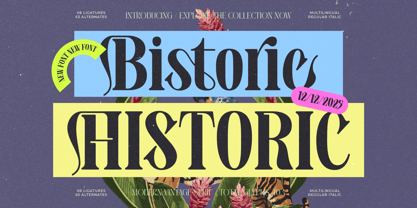 Bistoric Historic Font Poster 1