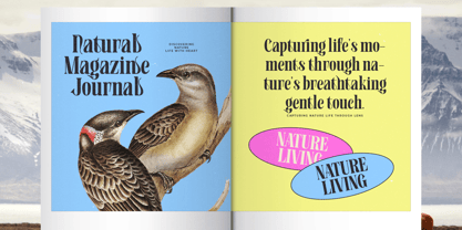 Bistoric Historic Font Poster 12