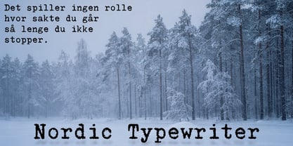 Nordic Typewriter Font Poster 3
