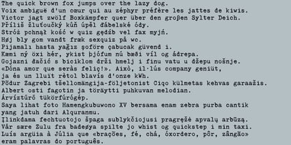 Nordic Typewriter Font Poster 5