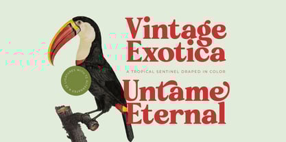 Rakuy Magist Font Poster 5