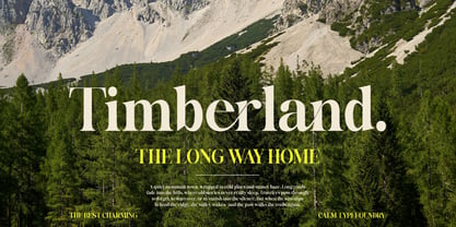 The Best Charming Font Poster 9