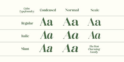 The Best Charming Font Poster 11
