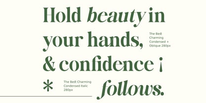 The Best Charming Font Poster 7