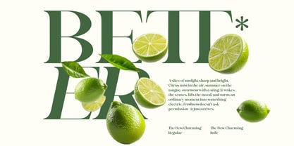 The Best Charming Font Poster 10
