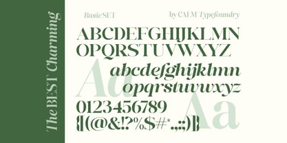 The Best Charming Font Poster 14