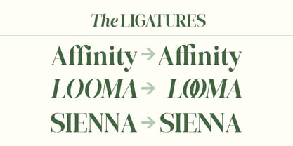 The Best Charming Font Poster 12