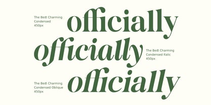 The Best Charming Font Poster 8
