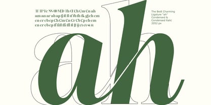 The Best Charming Font Poster 4