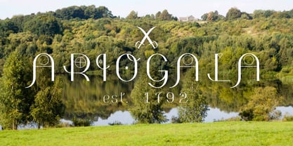 Eregalle Font Poster 2