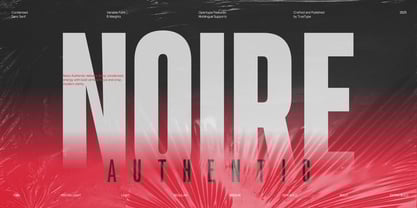 TRT Noire Authentic Font Poster 1