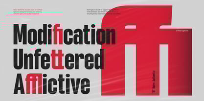 TRT Noire Authentic Font Poster 4