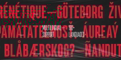 TRT Noire Authentic Font Poster 15