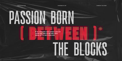 TRT Noire Authentic Font Poster 14