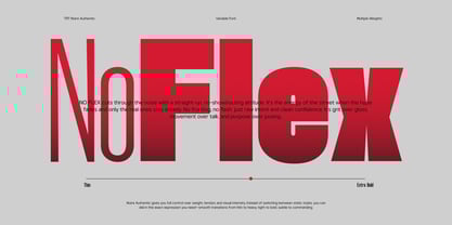 TRT Noire Authentic Font Poster 8