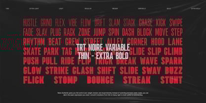 TRT Noire Authentic Font Poster 7