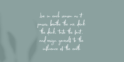 Modien Font Poster 2