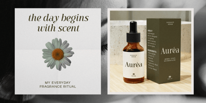 Ambery Verita Font Poster 6