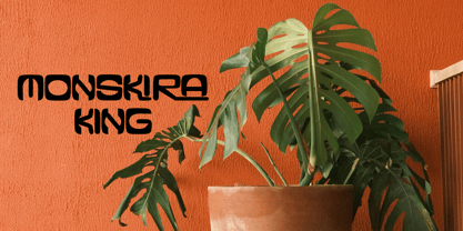 Alfonzo Font Poster 9