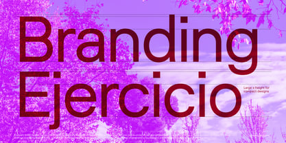 Intevia Font Poster 9