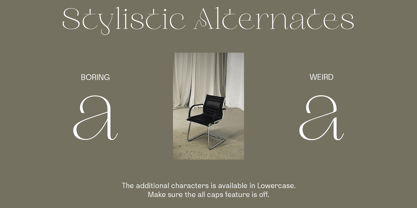 Manuscribe Font Poster 3