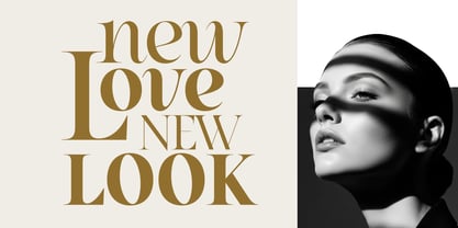 Nouvel Amour Font Poster 2