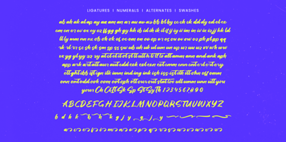 Dhaily Cluter Font Poster 15