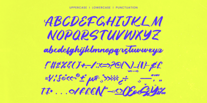 Dhaily Cluter Font Poster 13