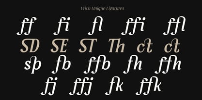 Serelia Font Poster 13