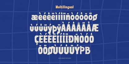 Snarl Rough Font Poster 11