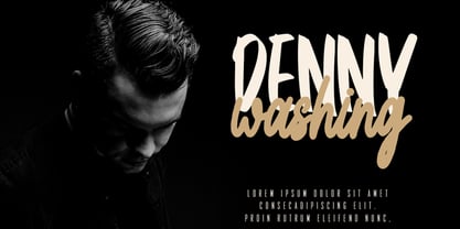 Annice Font Poster 2