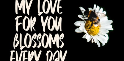 Annice Font Poster 3