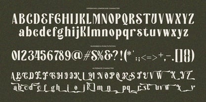 Zt Aveloria Font Poster 9