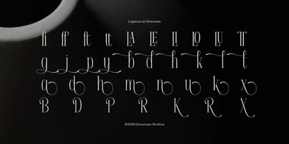 Apex Royale Font Poster 12