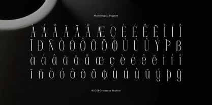 Apex Royale Font Poster 11