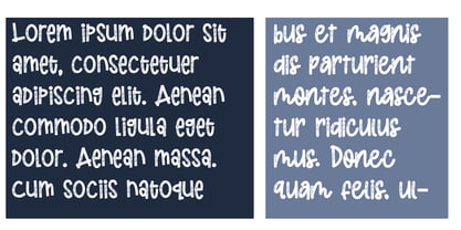 ZP Bootlegger Berry Font Poster 4