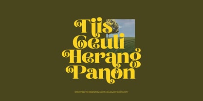 Broftin Resort Font Poster 11