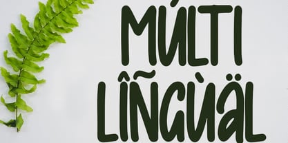 Alyale Font Poster 7