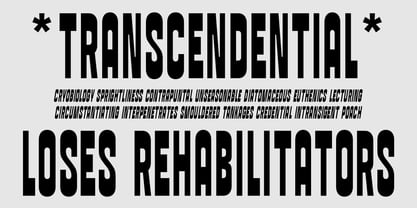 Porcile Font Poster 4