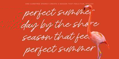 Royal Spark Italic Font Poster 6