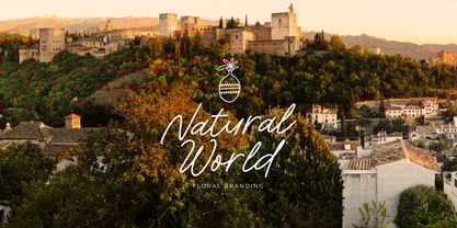 Royal Spark Italic Font Poster 10