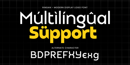 Ringan Font Poster 8